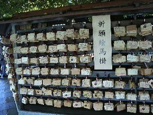 P108.jpg